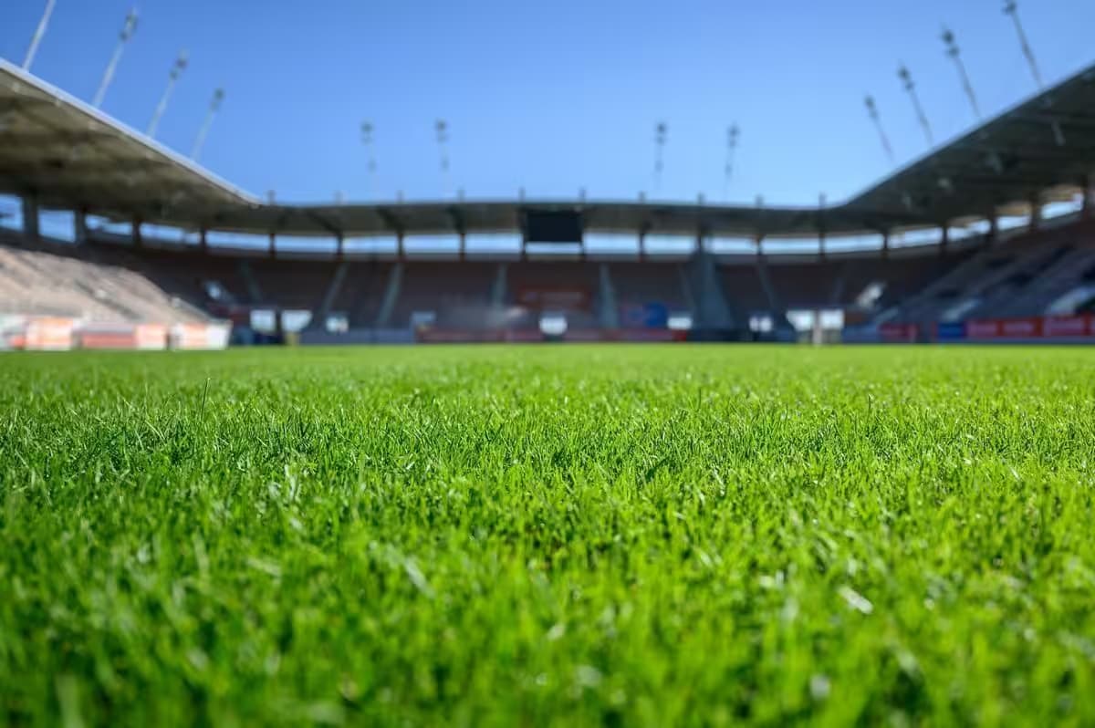 Grüner Rasen im Stadion bei schönem Wetter