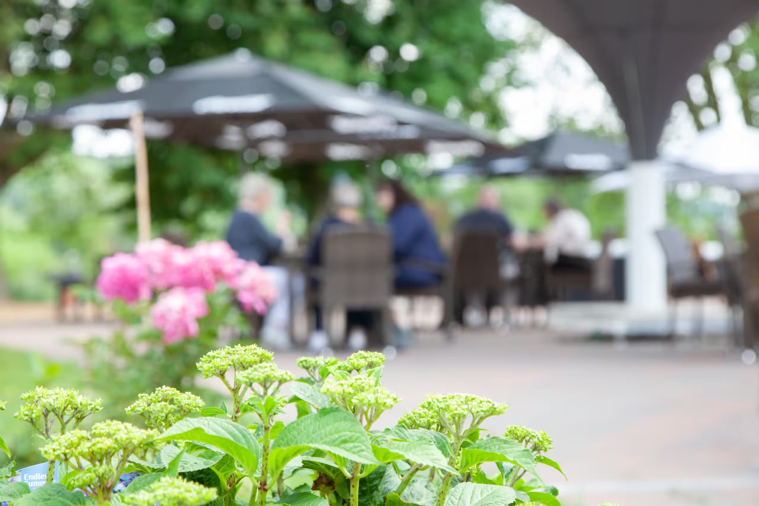 Franky´s Wasserbahnhof Mintard - teamio Partner Location