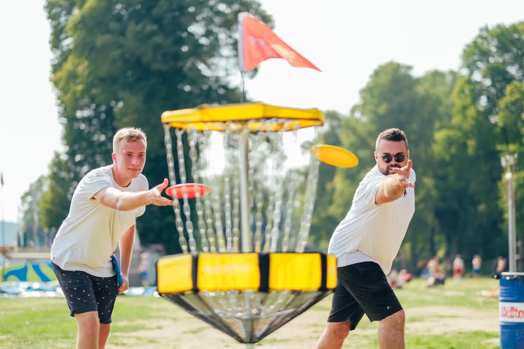 Teilnehmende werfen Frisbees auf einen Discgolf-Korb beim Teamevent