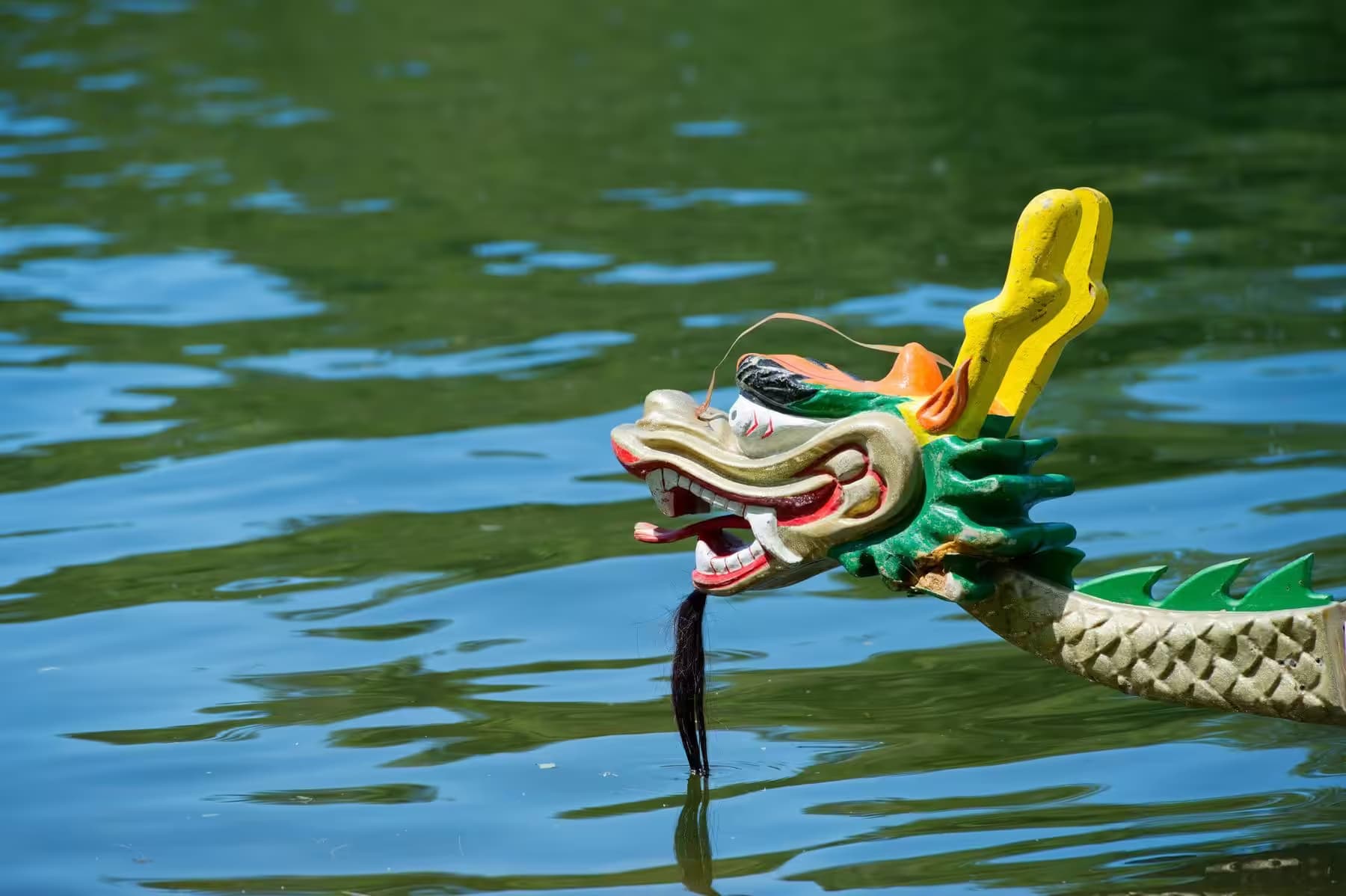Dragon head on the bow of a dragon boat on the water