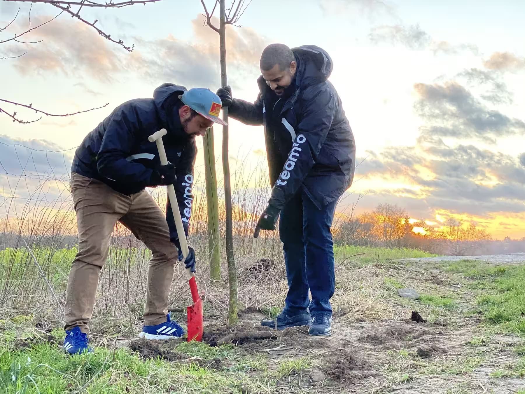 Tree-planting initiative: two men planting a tree
