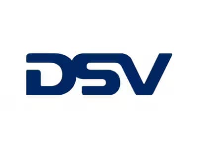 DSV logo