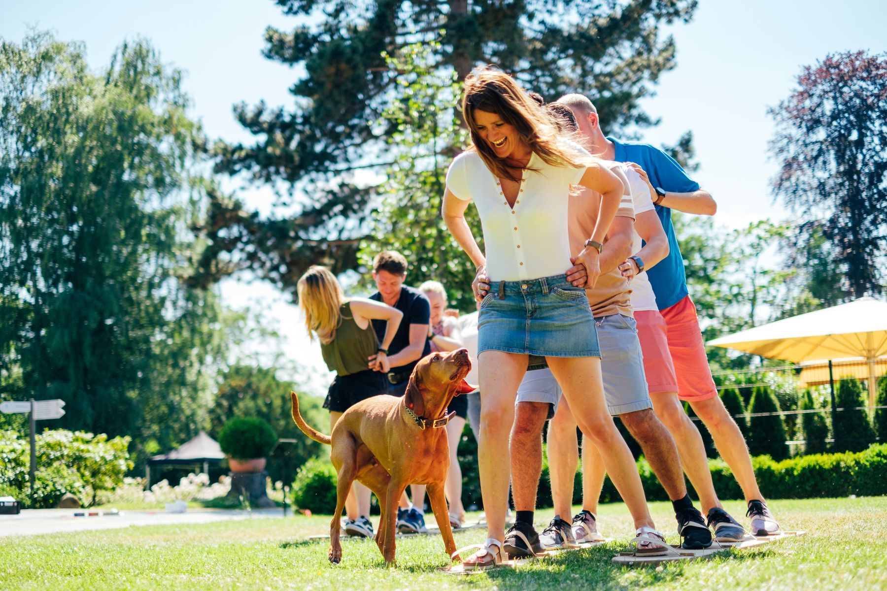 teamio 3 / 5 Kampf - teamio