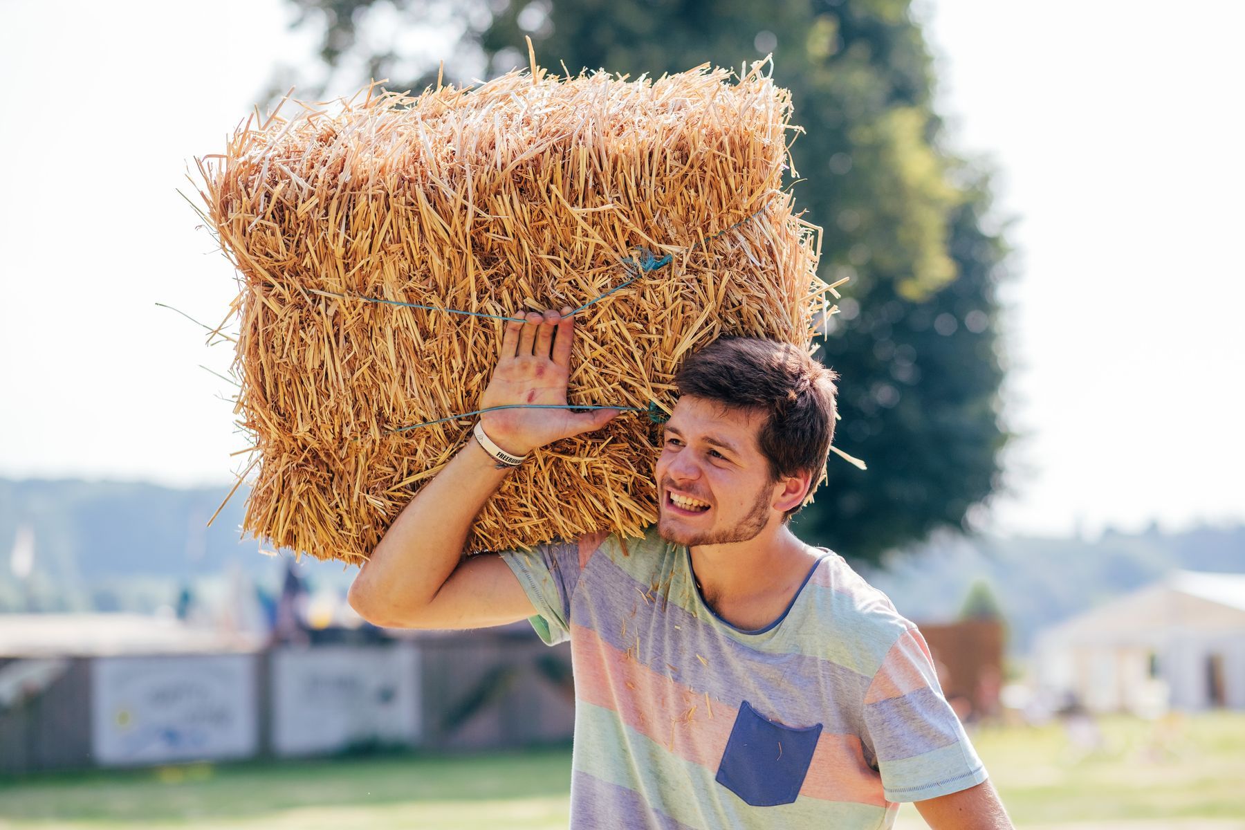 Teamwork auf dem Bauernhof