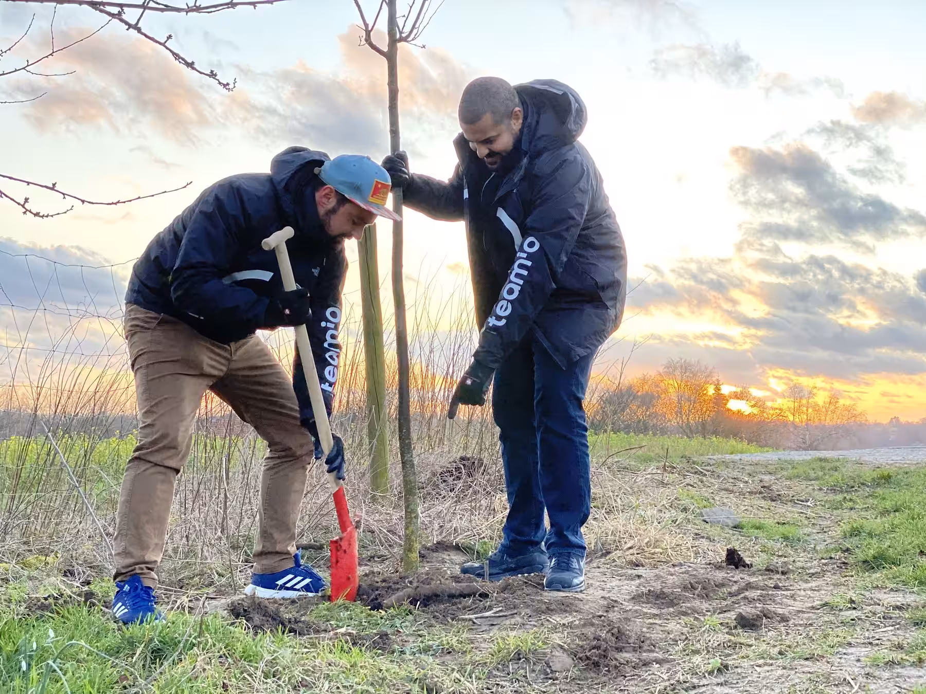 We plant a tree for every event