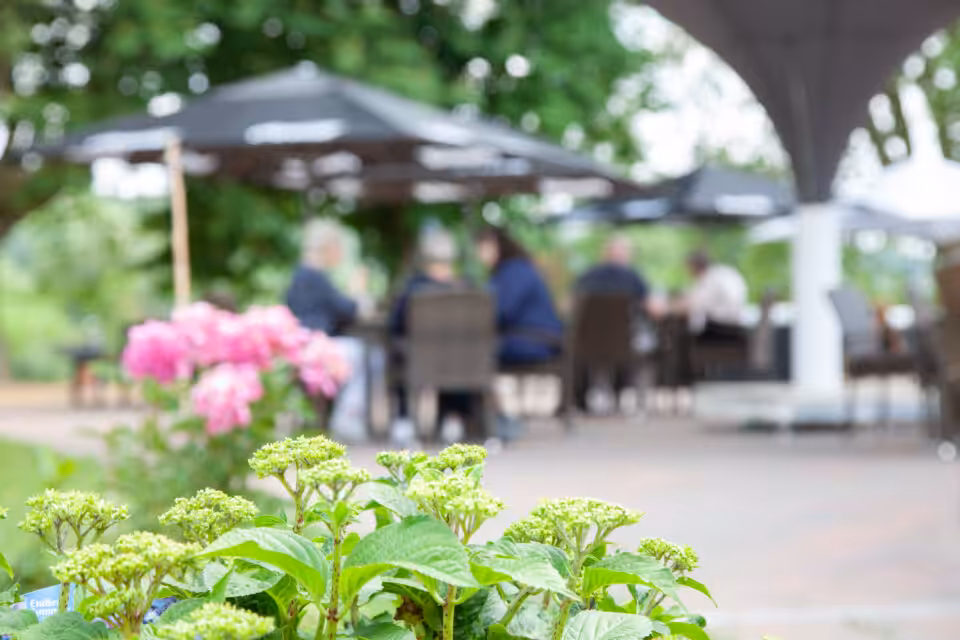 Franky´s Wasserbahnhof Mintard - teamio Partner Location