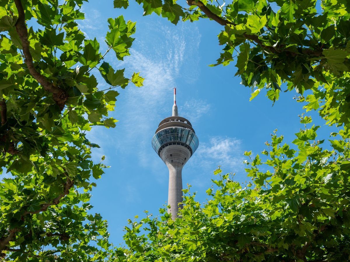 Fernsehturm hinter Bäumen, blauer Himmel in Düsseldorf