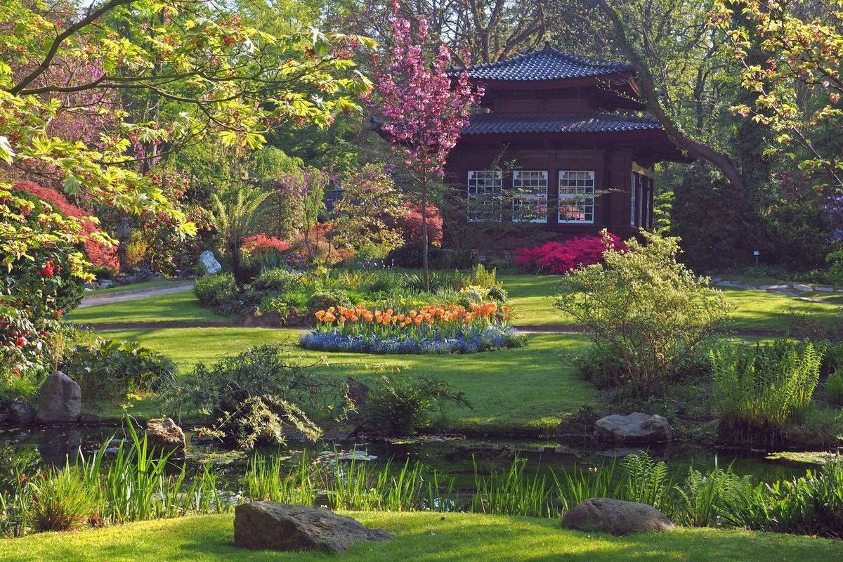 Japanischer Garten mit Teich und Pavillon in Leverkusen