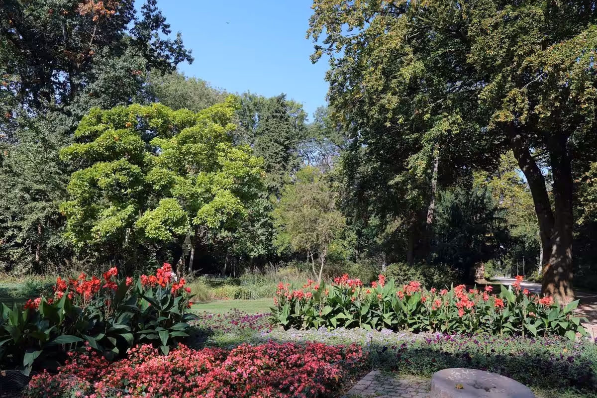 Blühende Blumen im sonnigen Park