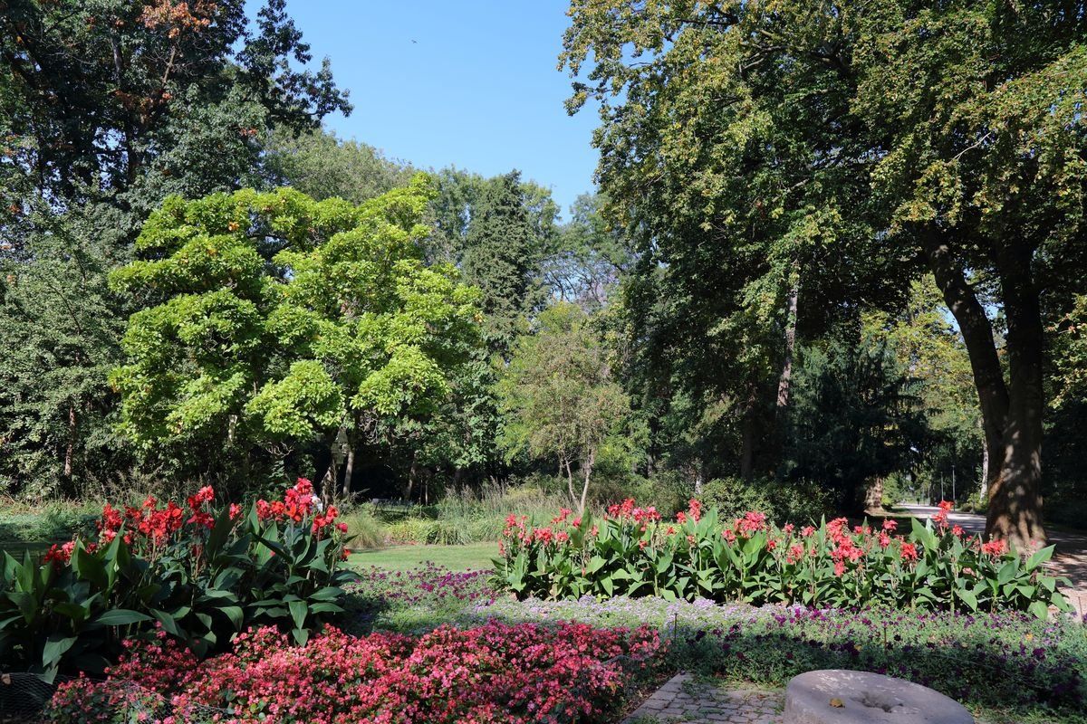 Grüner Park in Mönchengladbach mit bunten Blumen und Bäumen.