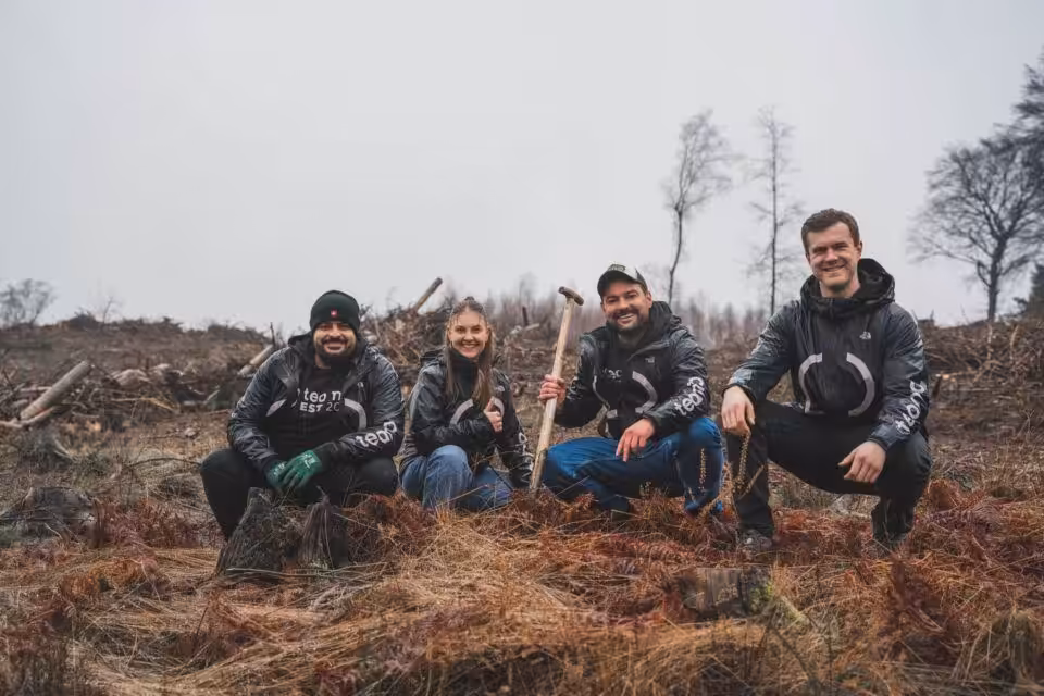Mitarbeiter der Eventagentur teamio pflanzen Bäume in Wald