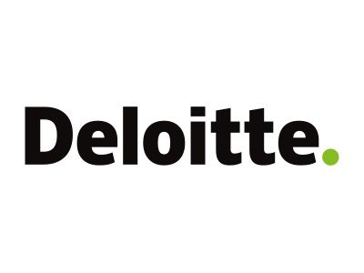 teamio Referenz - deloitte